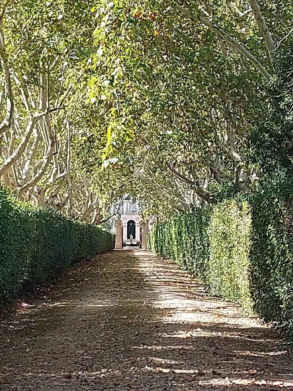 Palácio dos Marqueses de Alorna