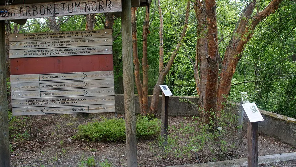 Arboretum Norr