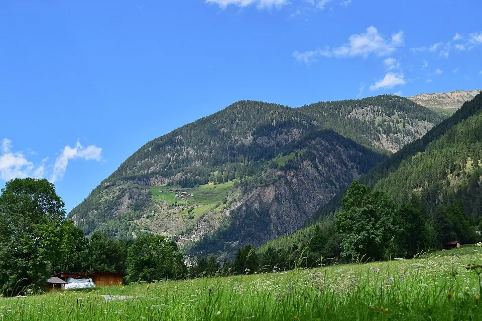 Farster Kopf
