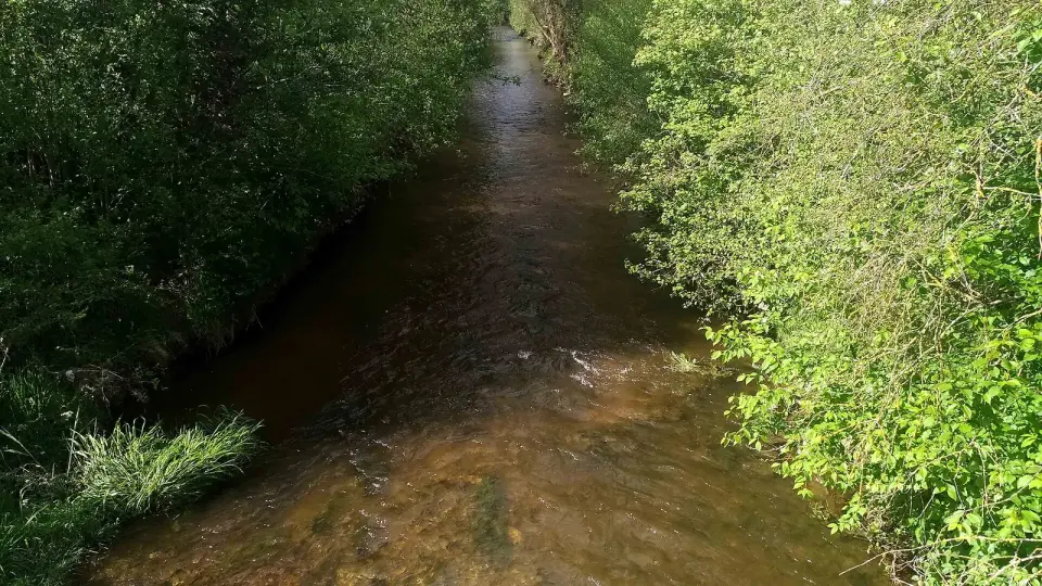 Image: Paradisedrive · CC BY-SA 4.0 Umlach