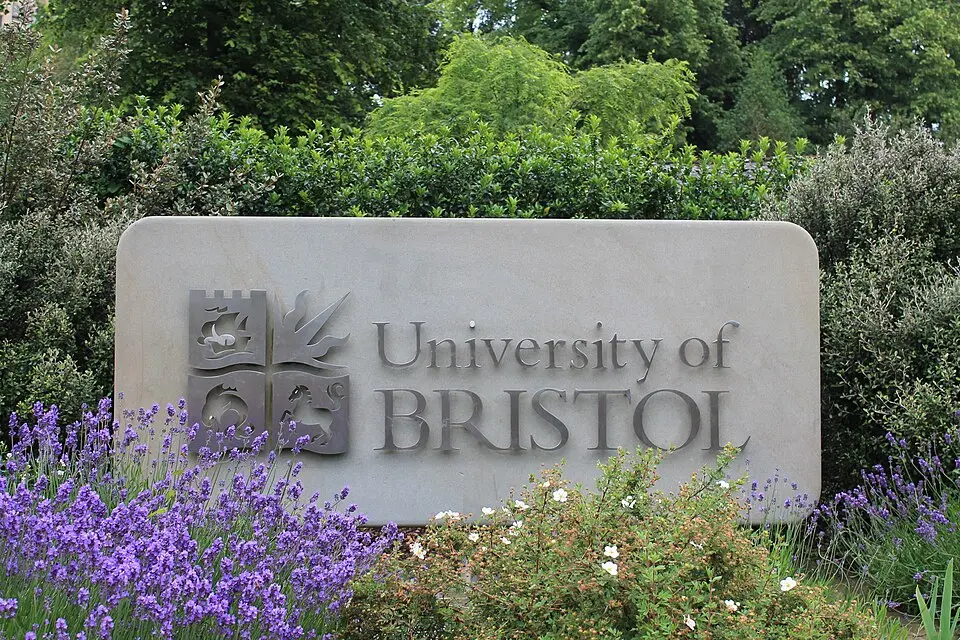 Slika: Simon Cobb · CC0 Univerza v Bristolu