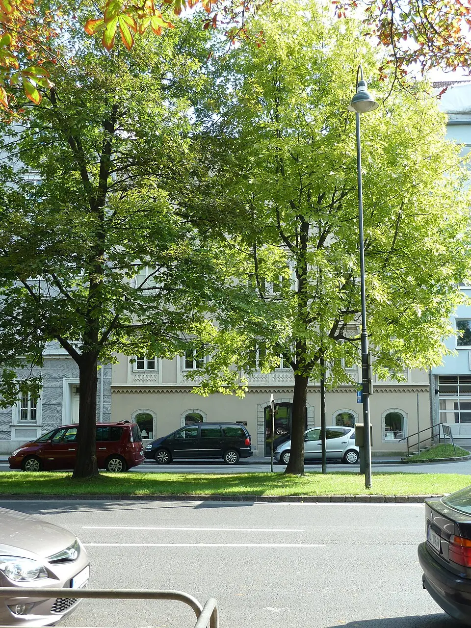 Bürgerhaus, ehem. Pröllerischer Stadel