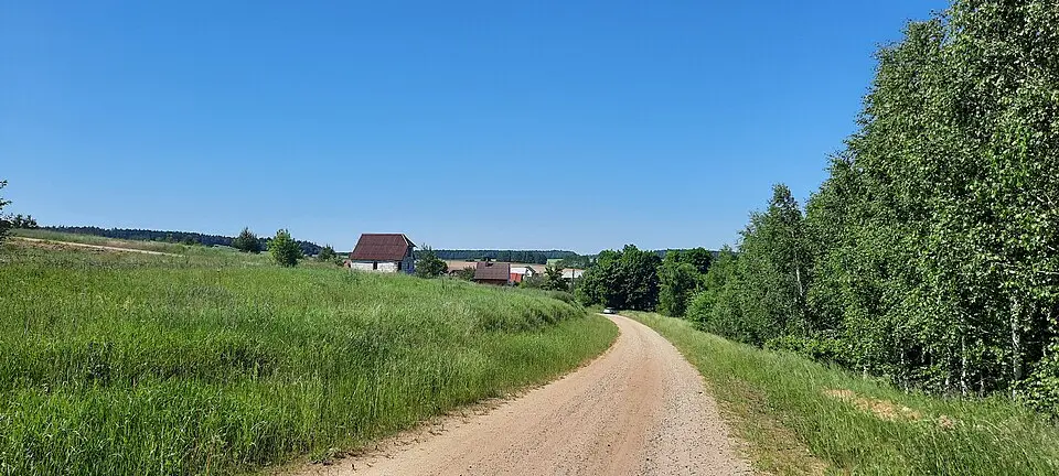 Багушы