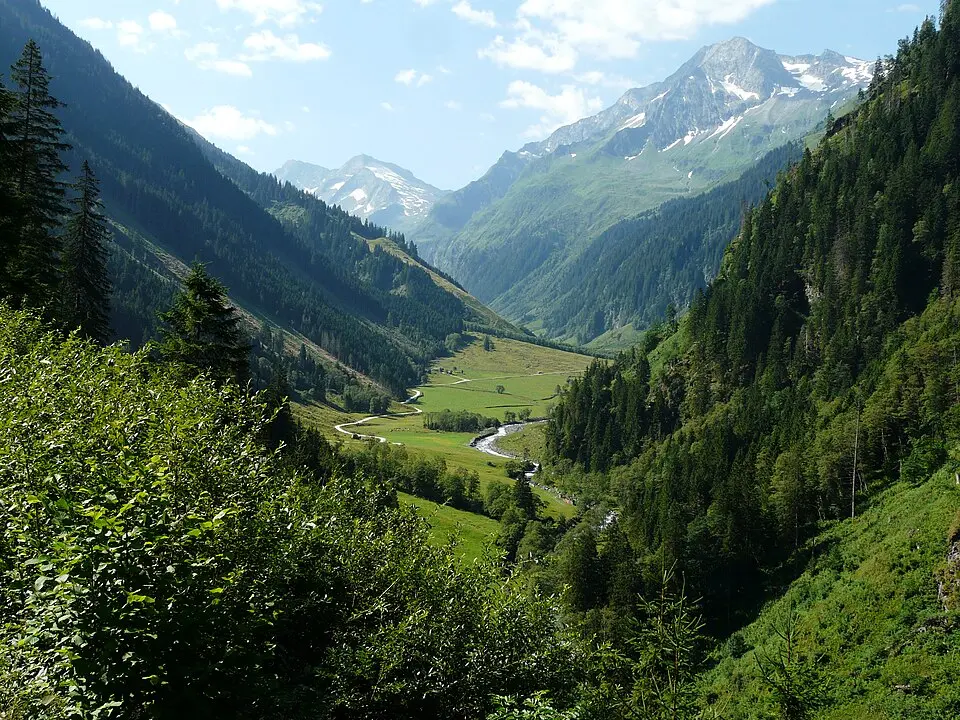 Lienzinger