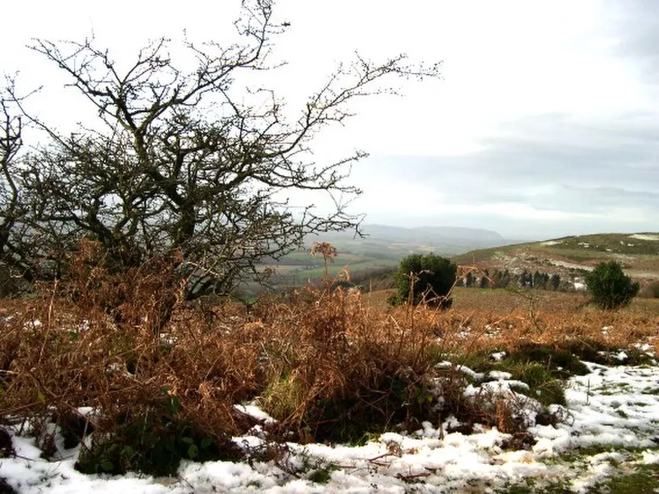 Quantock Hills