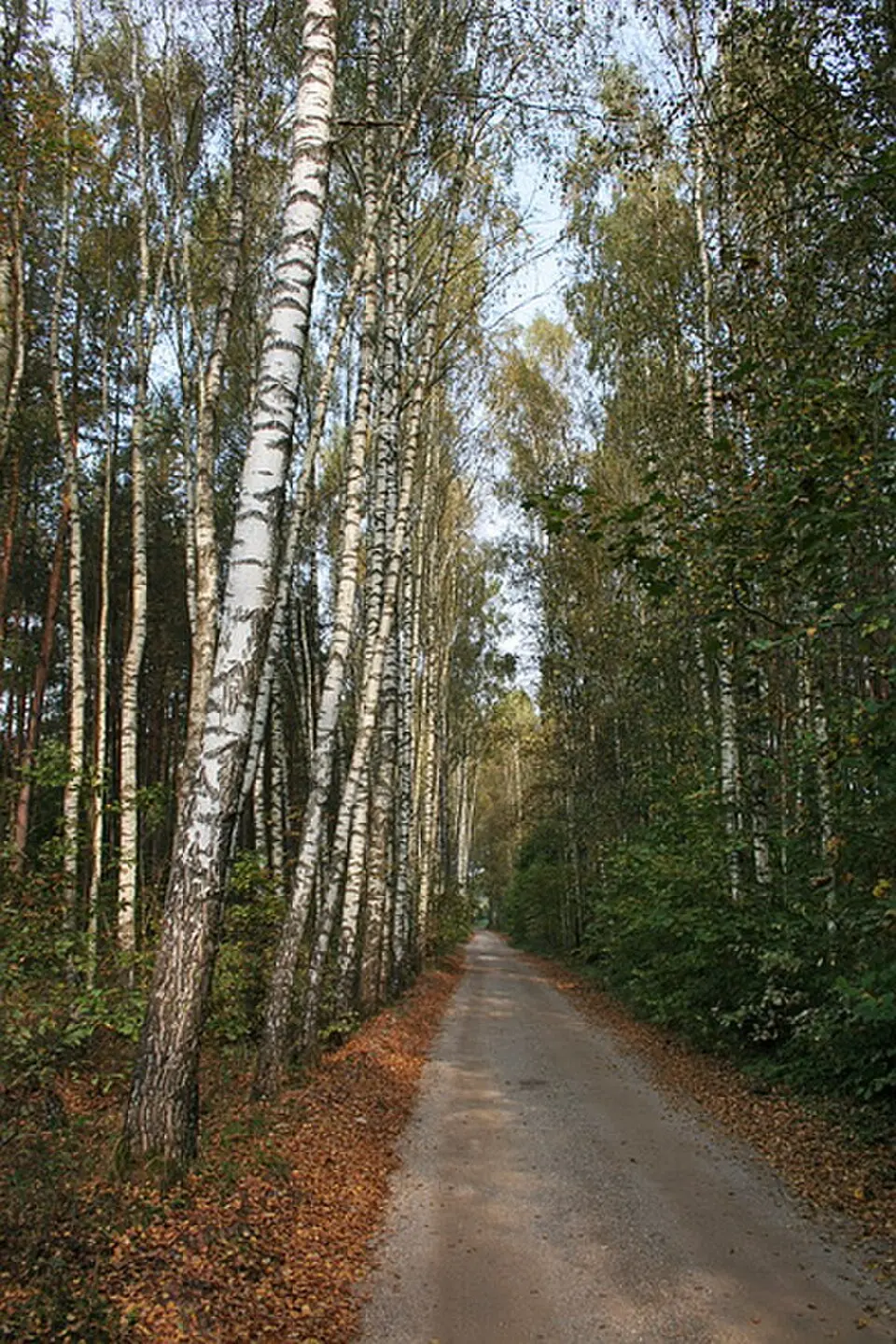 Upninkų seniūnija
