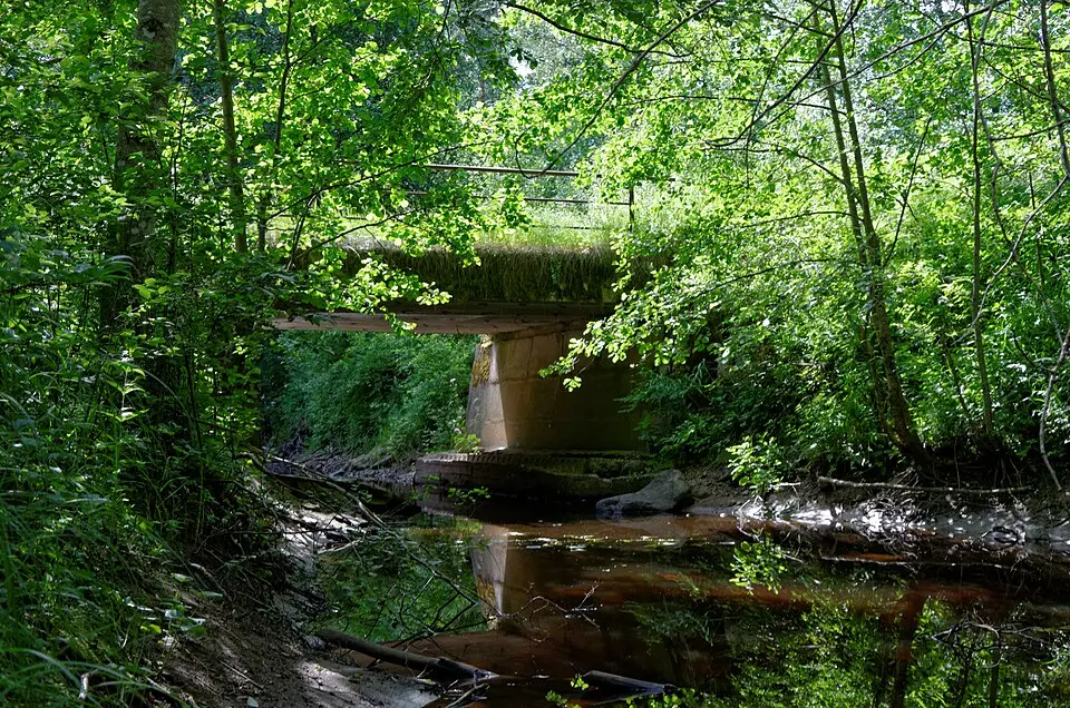 Ura