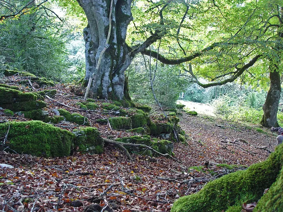 Parque natural Urbasa-Andía
