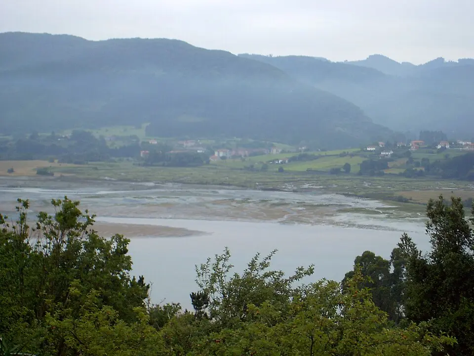 Murueta