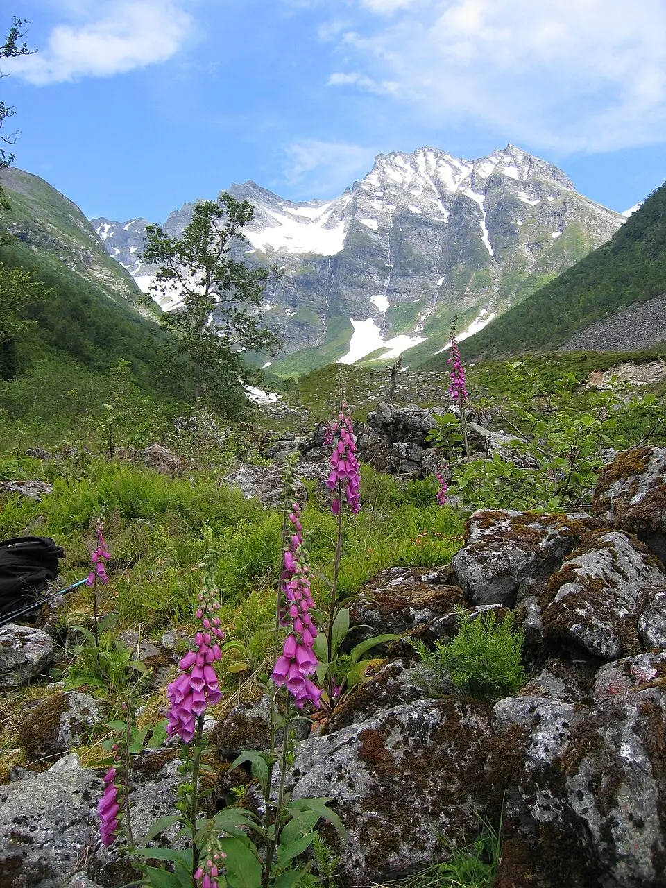 Urkedalstindane