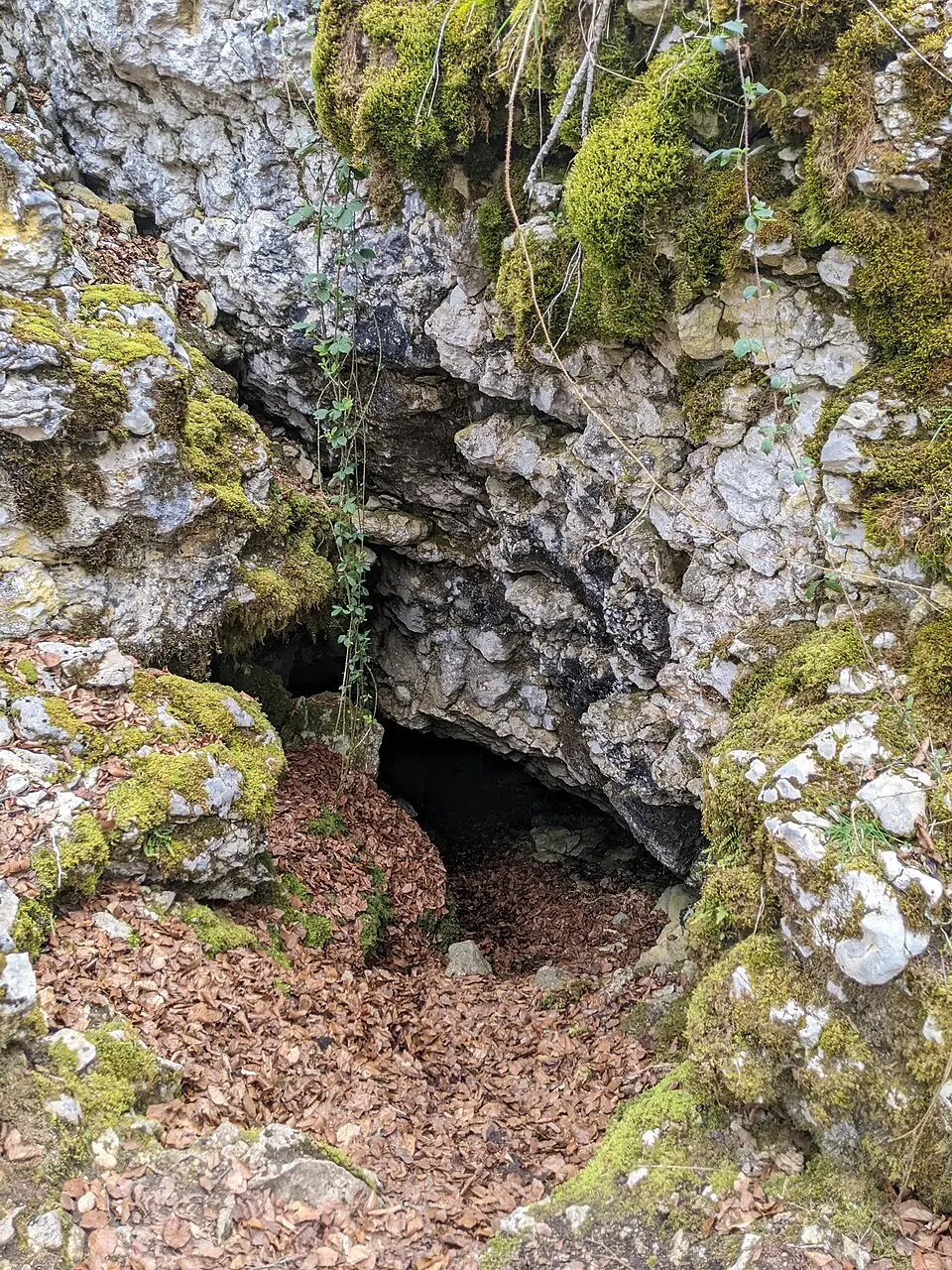 Urkoba 1