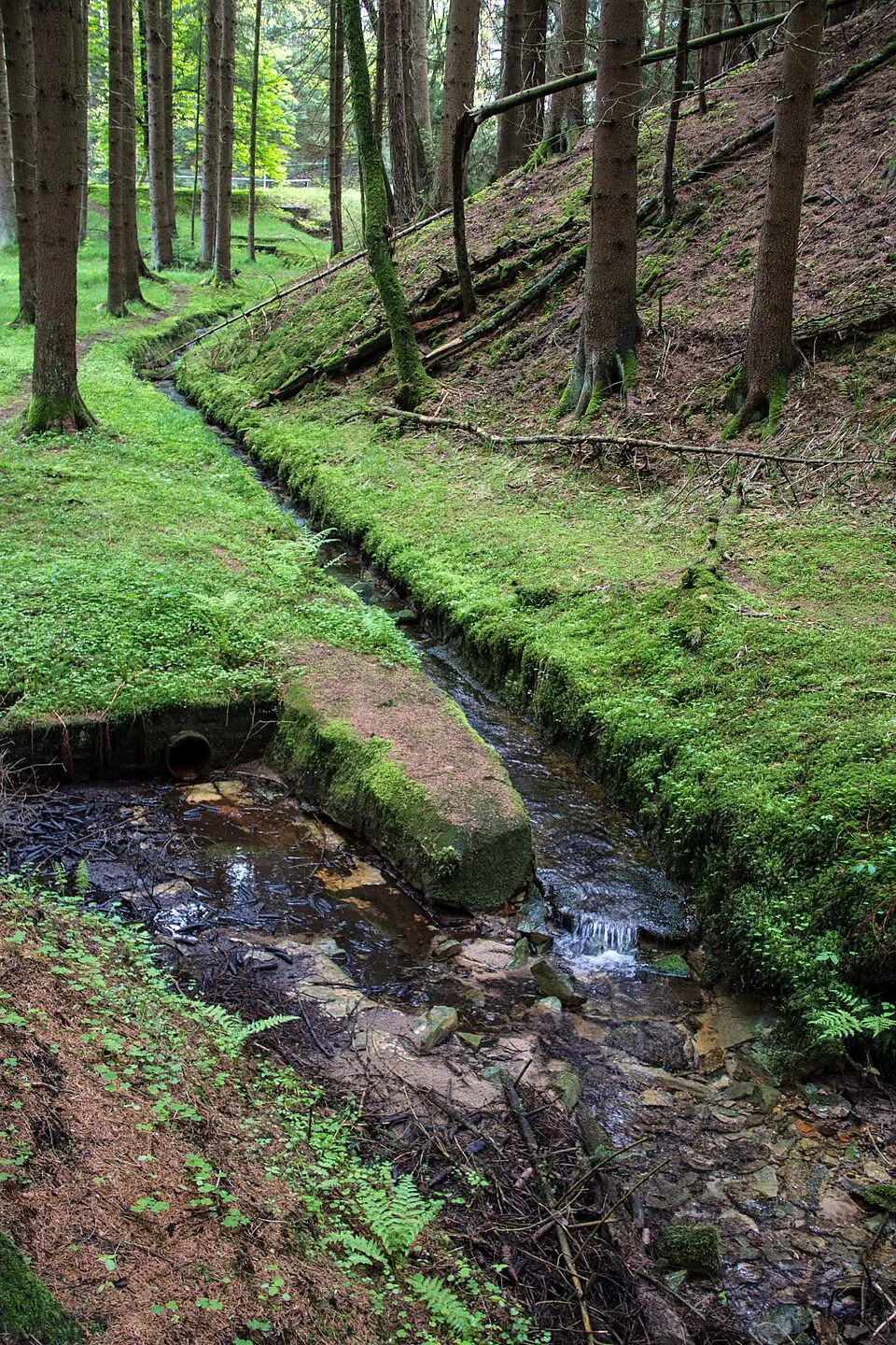 Leinburg
