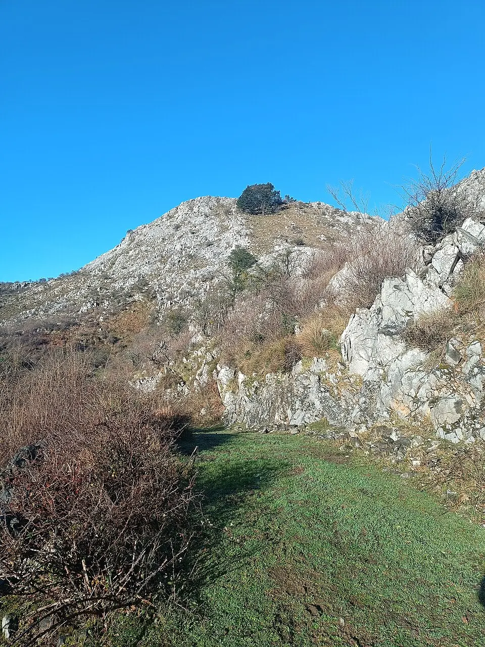 Urtemondo