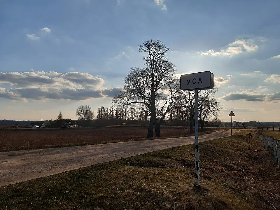Уса