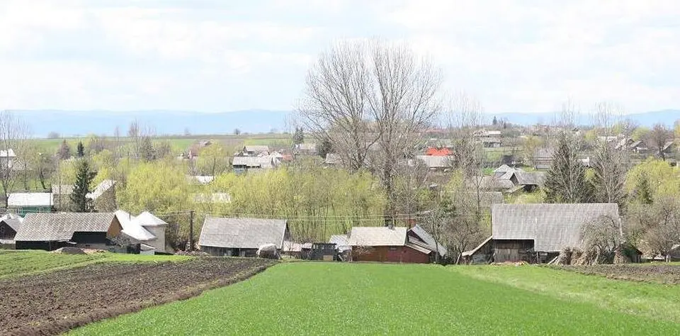 Obrázek: mishu57 · Public domain Mușenița
