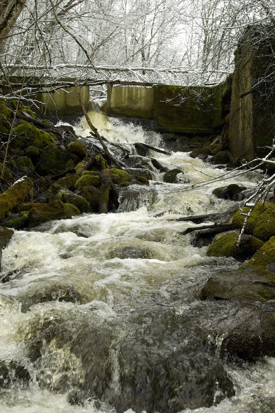 Utria waterfall