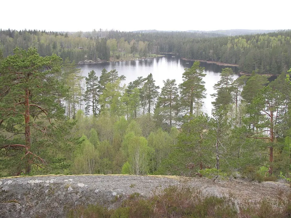 Rövarbro skans