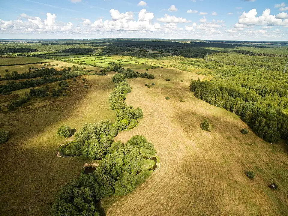 Užava