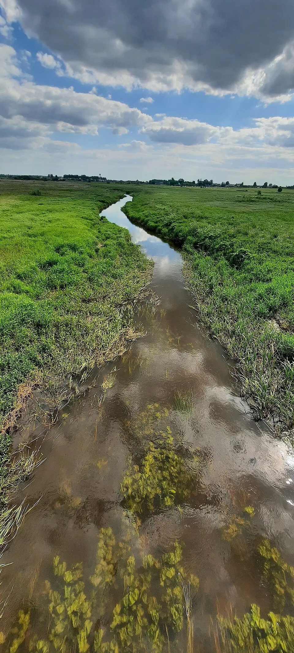 Узьдзянка