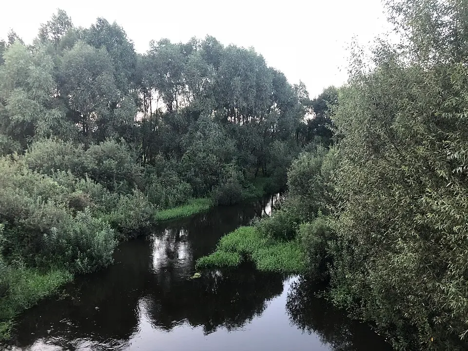 Вуза