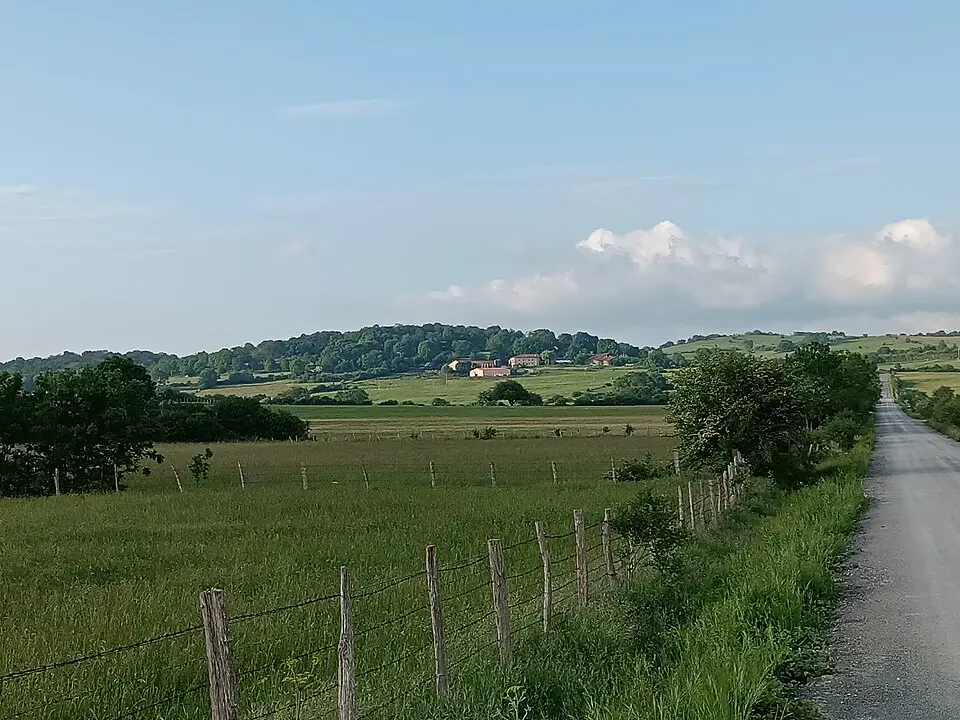 Uzquiano
