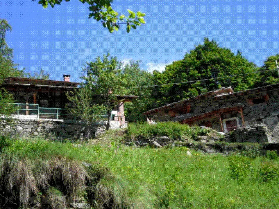Pialpetta