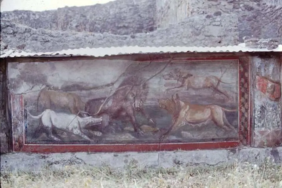 casa dei Gladiatori