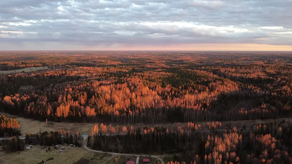 Kõrvemaa maastikukaitseala