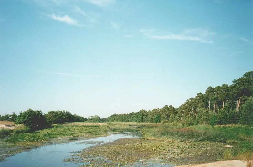 Vääna River