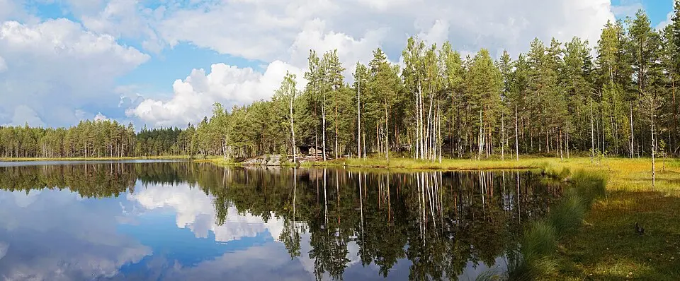 Jämsä