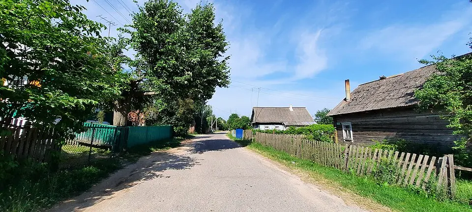 Баяры