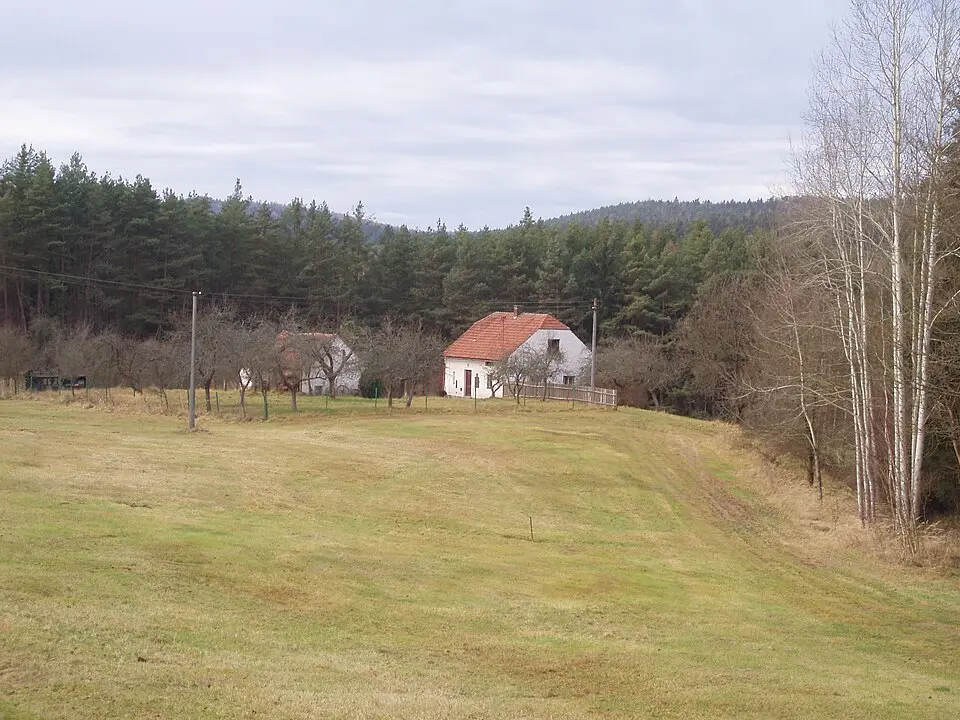 Vaječník