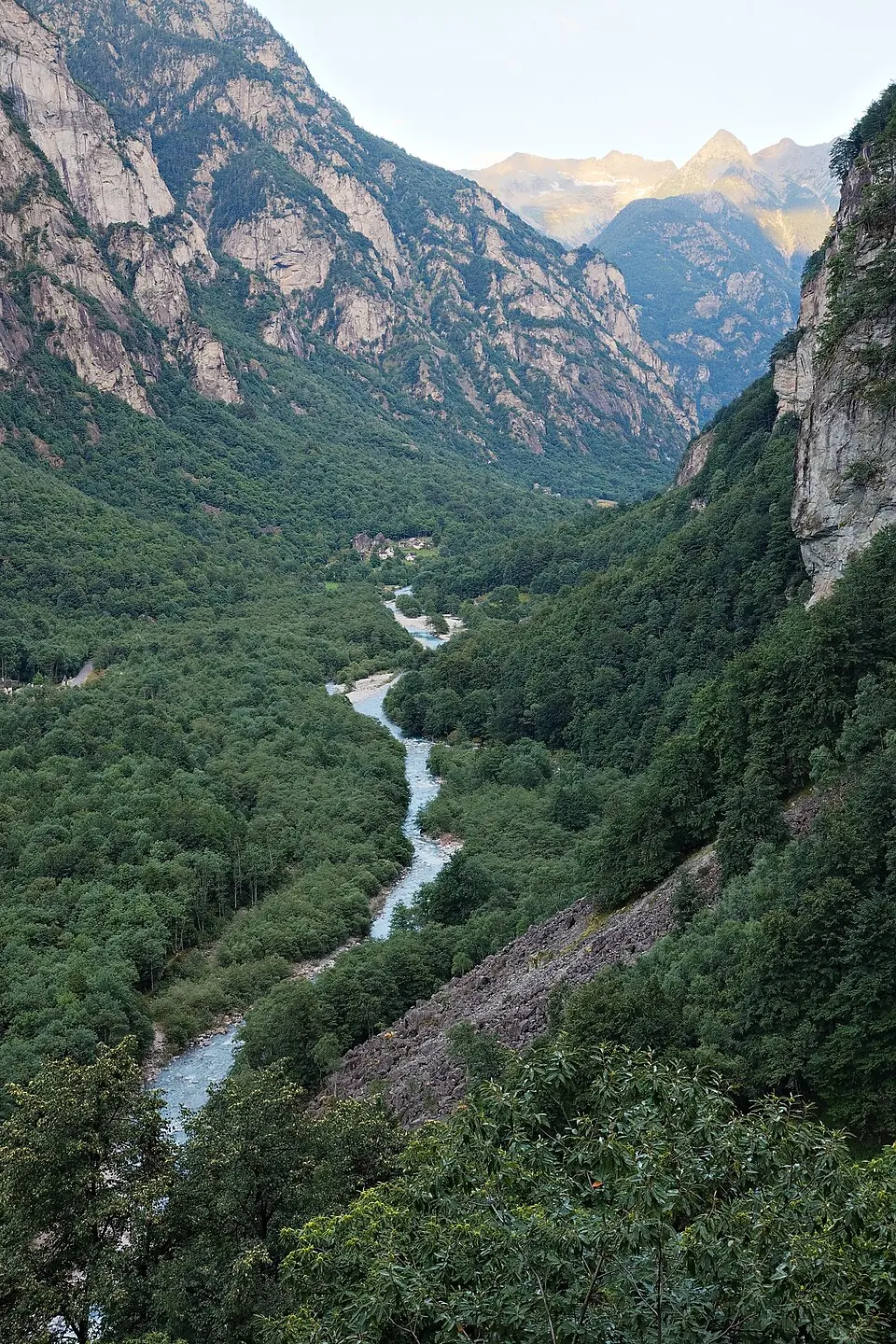 Bavonatal