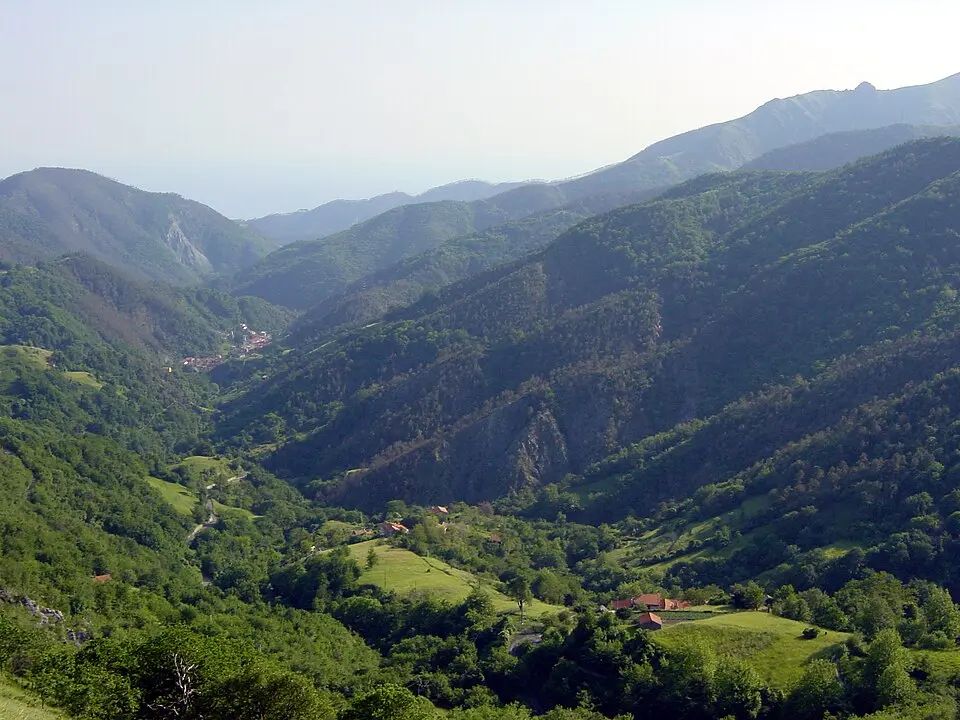 Vaccarezza