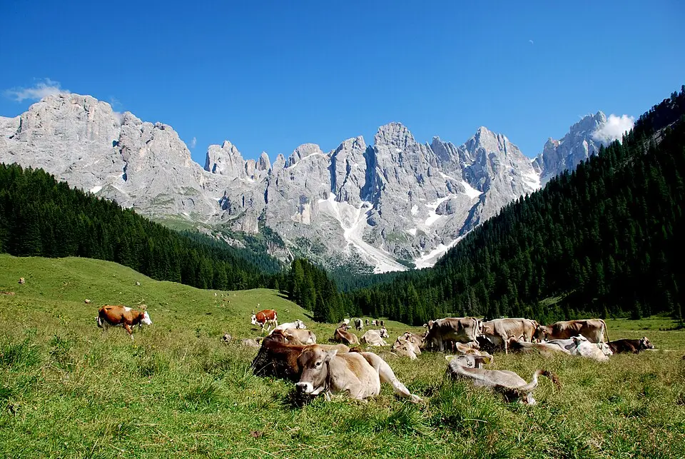 parc naturel Paneveggio - Pale di San Martino