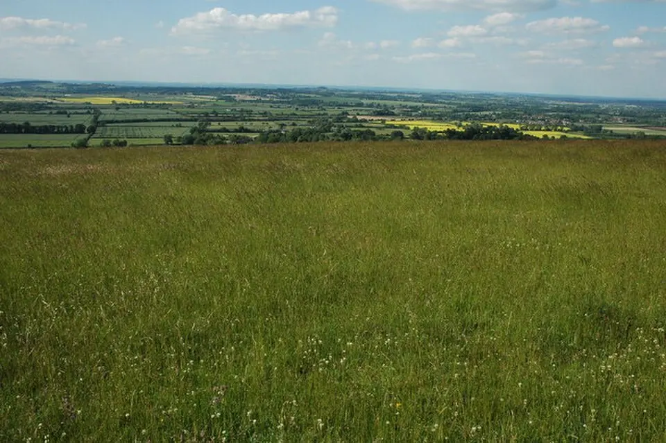 Berkshire Downs
