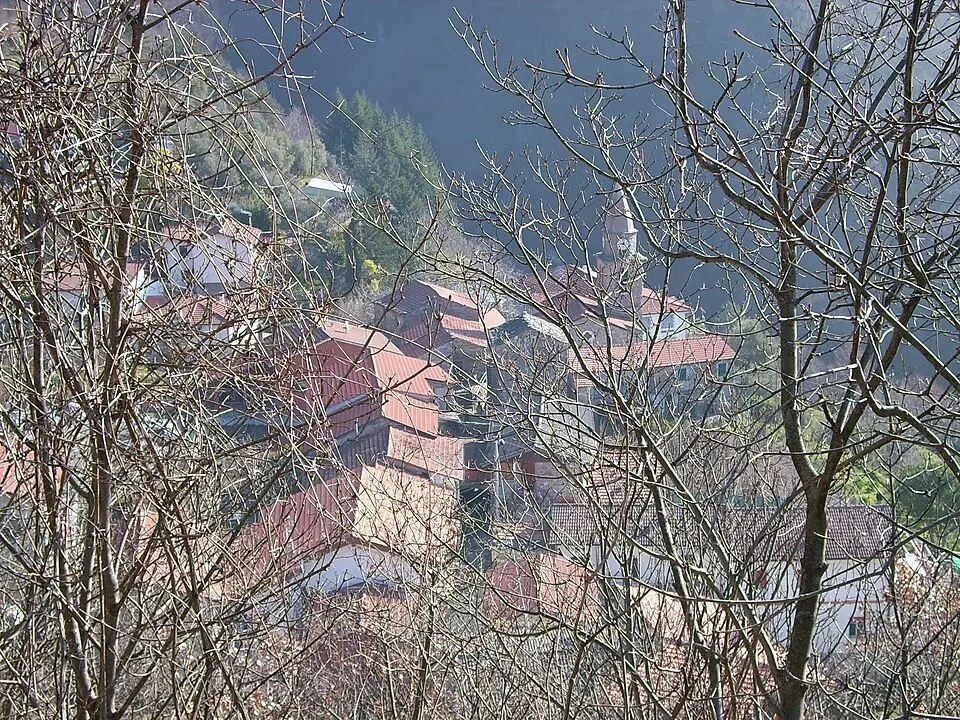 Valgiuncata