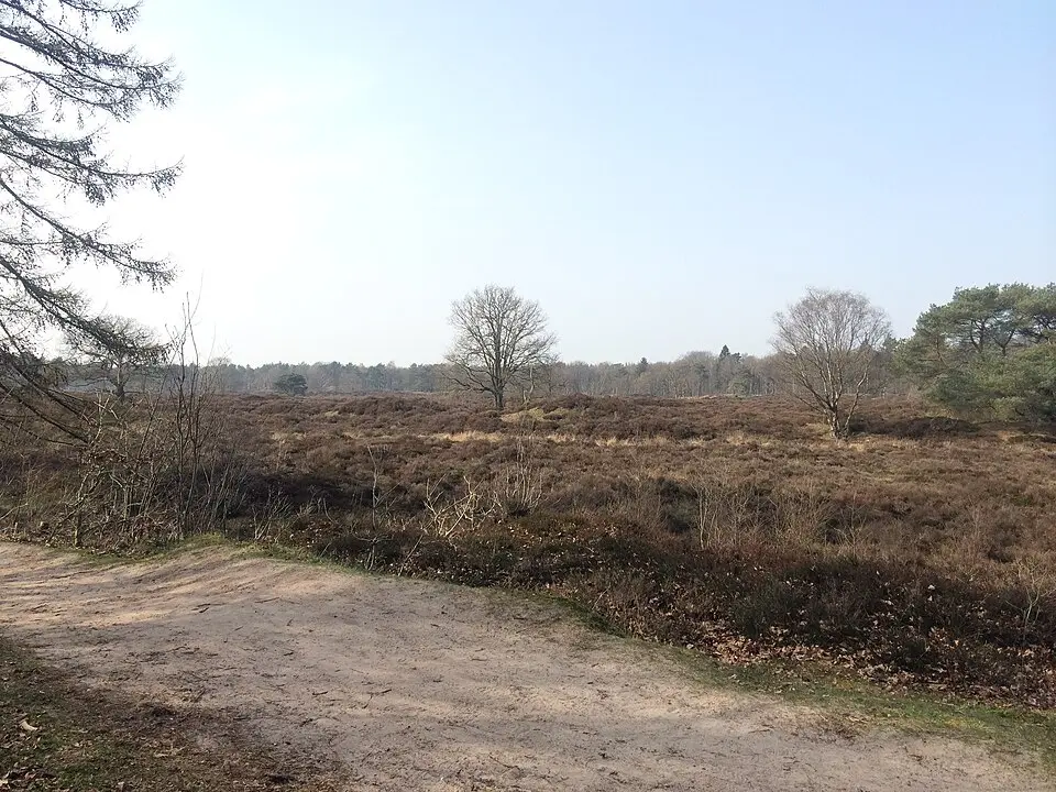 Bakkeveense Duinen