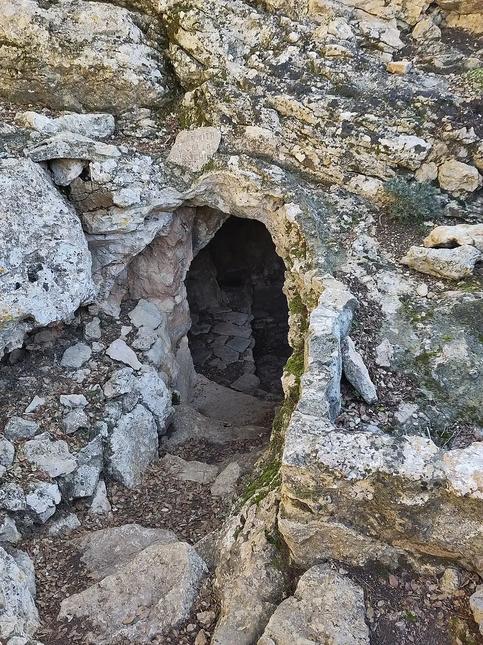 Cova de l'Ermità Guillem