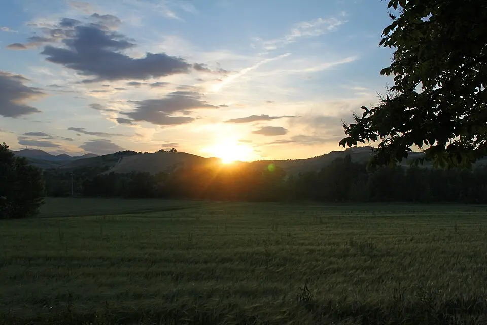 San Martino in Pedriolo