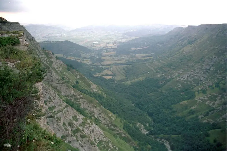 Délica