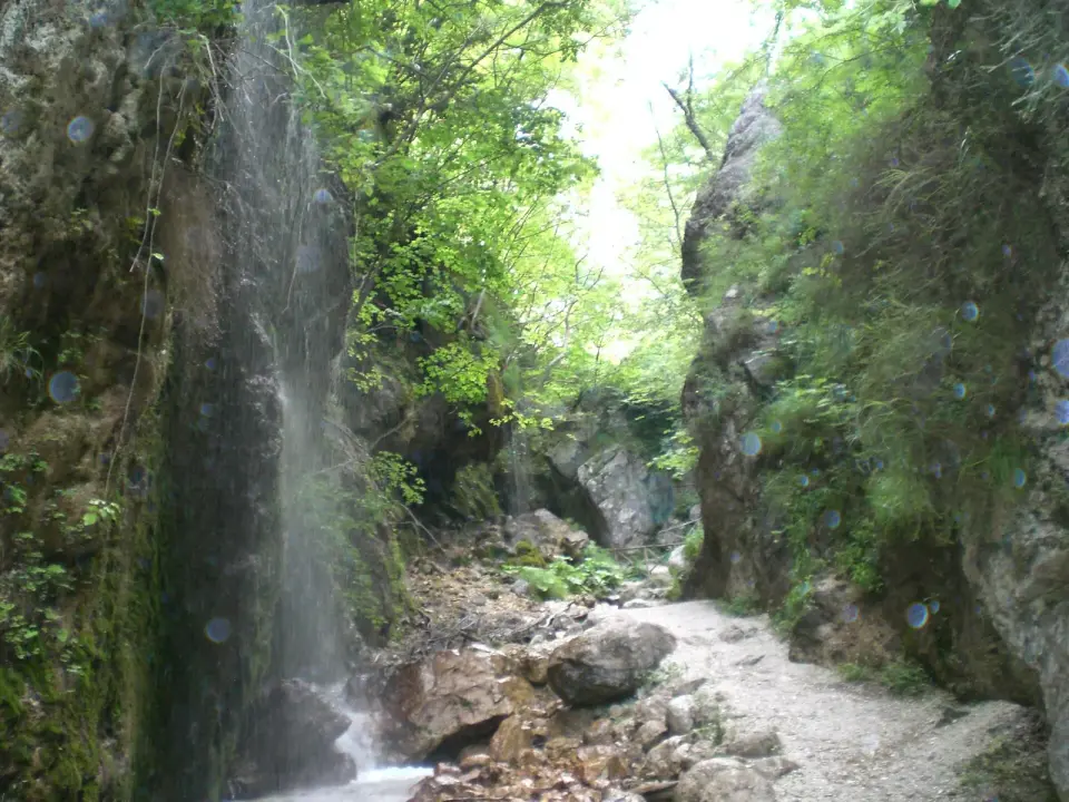 parco regionale Monti Picentini