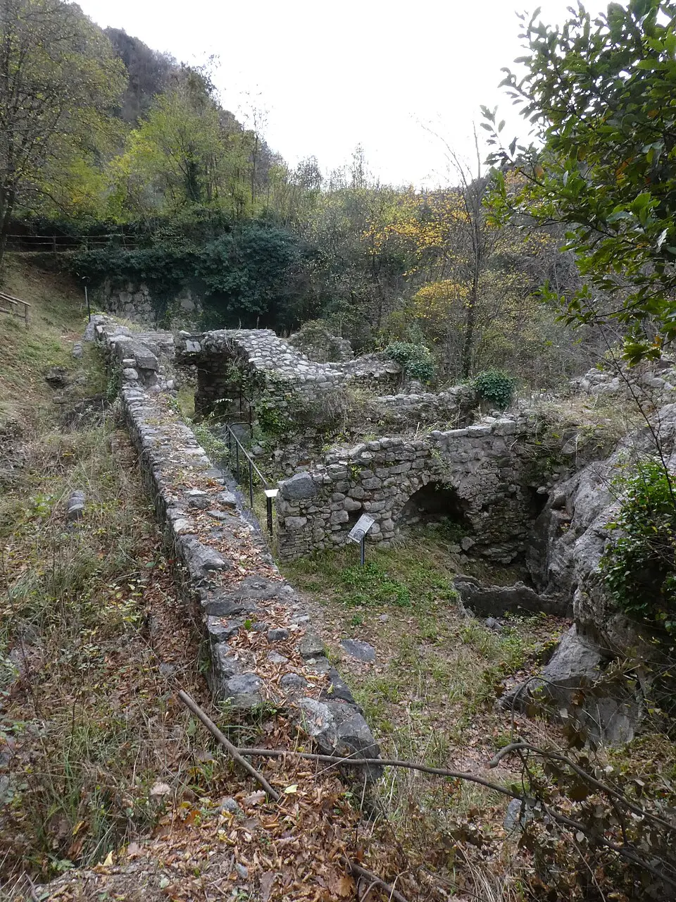 cartiera di Gatto