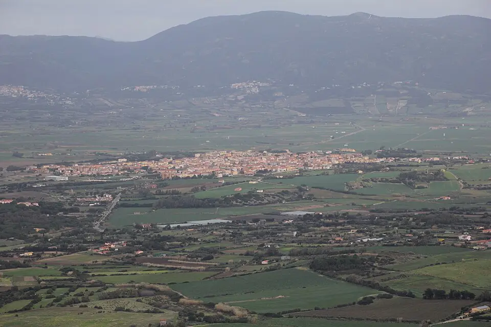 Codaruina