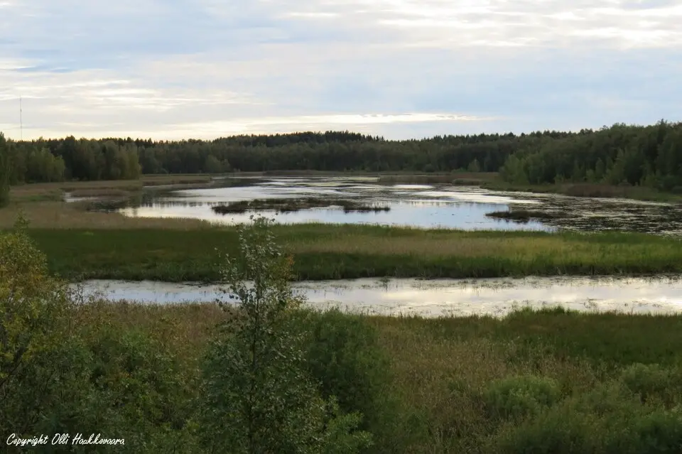 Slika: Olli Haukkovaara · CC BY-SA 4.0 Vallonjärvi