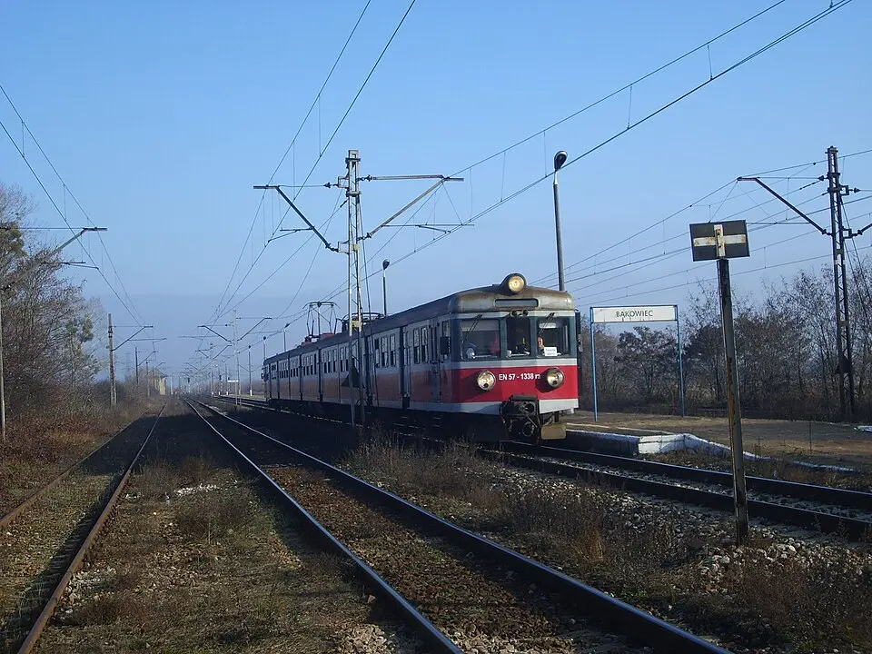 Bąkowiec