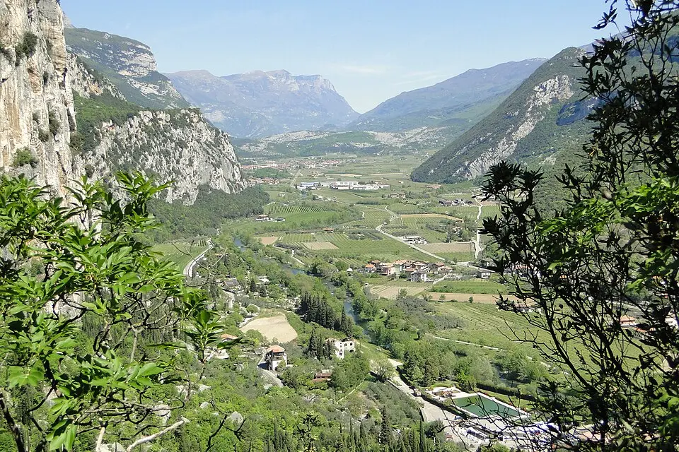 Sarca