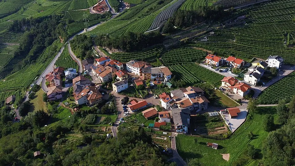 Valternigo