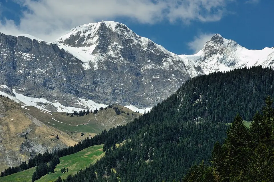 Vanil de l'Ecri