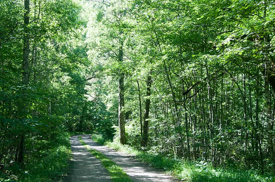 Varans naturreservat
